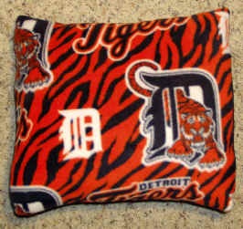 DETROIT & MICHIGAN SPORTS